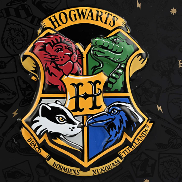 Шкільний дитячий рюкзак Harry Potter  SM105 фото
