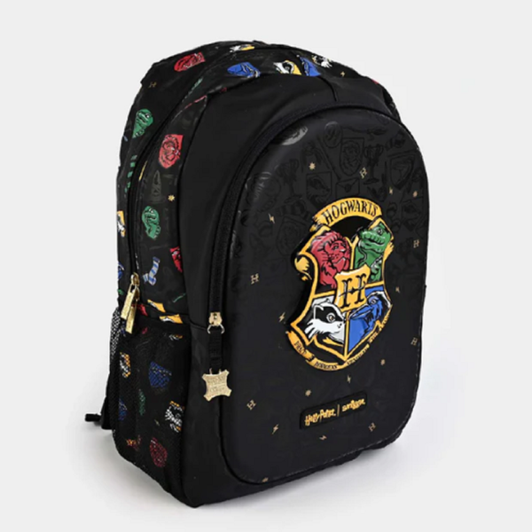 Шкільний дитячий рюкзак Harry Potter  SM105 фото